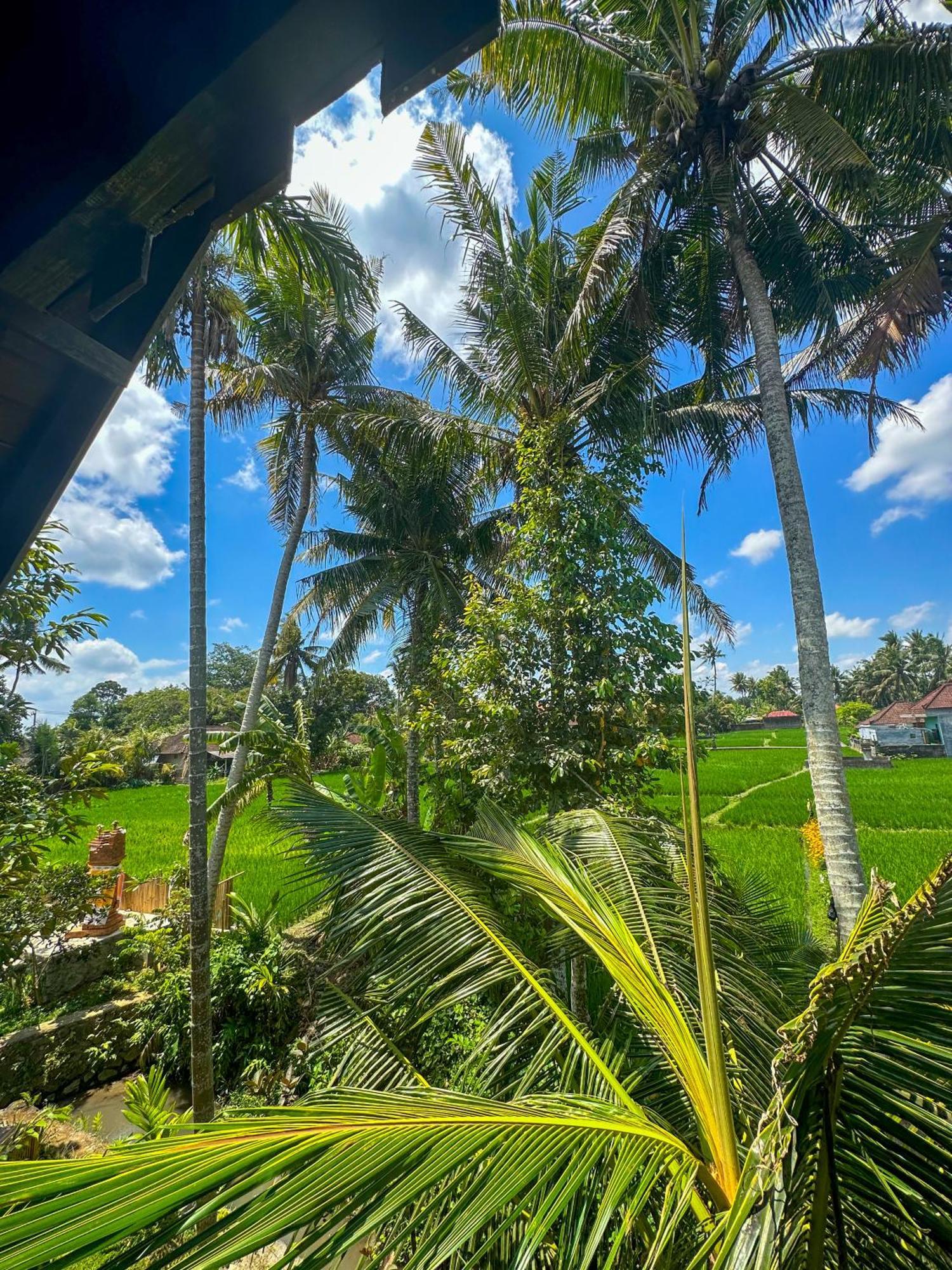 Nunu Bali Eco Friendly Retreat Hotel Canggu Exterior foto