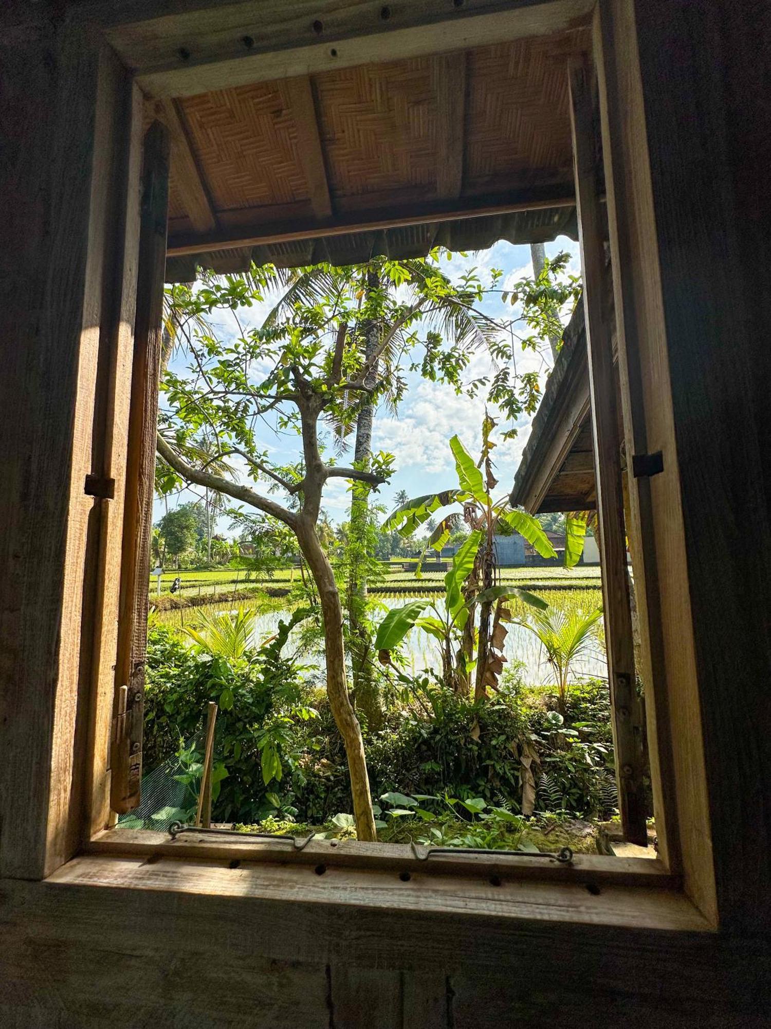Nunu Bali Eco Friendly Retreat Hotel Canggu Exterior foto