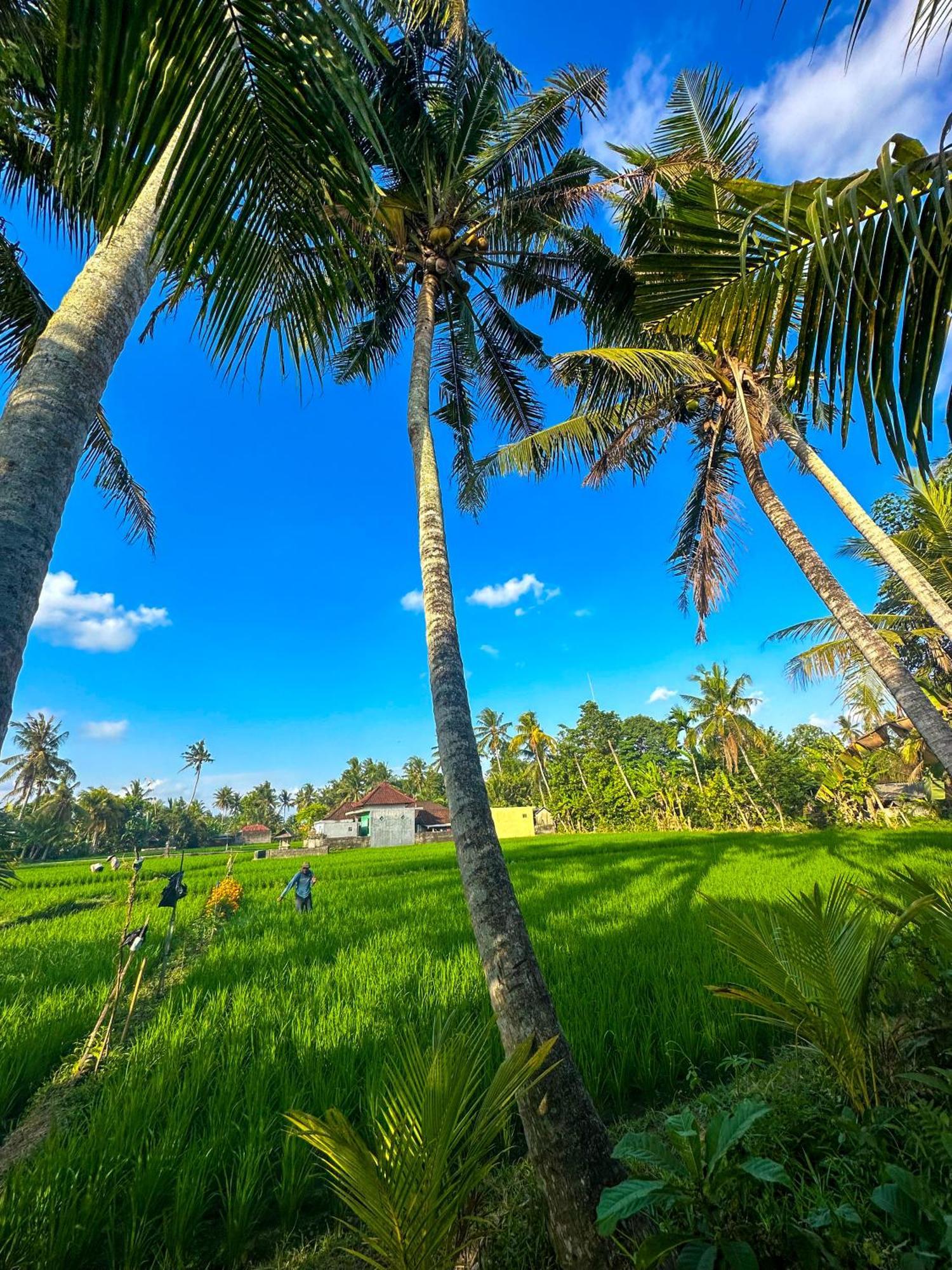 Nunu Bali Eco Friendly Retreat Hotel Canggu Exterior foto