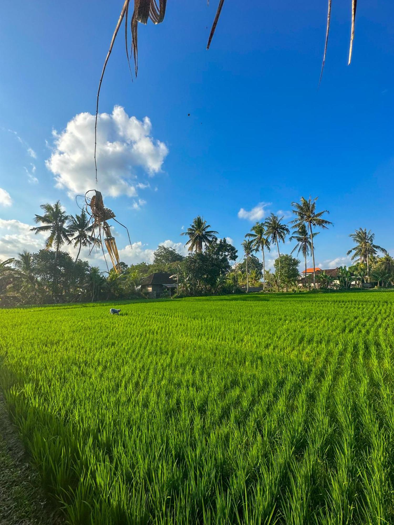 Nunu Bali Eco Friendly Retreat Hotel Canggu Exterior foto